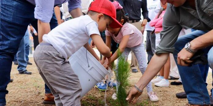 reforestacion_3-c01