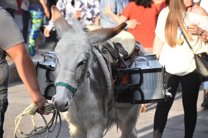 festival jerez