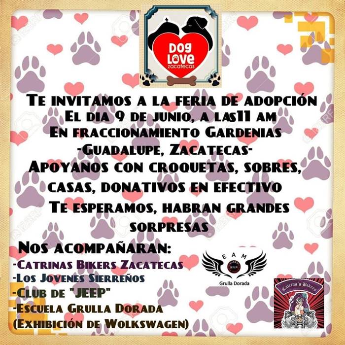 adopcion