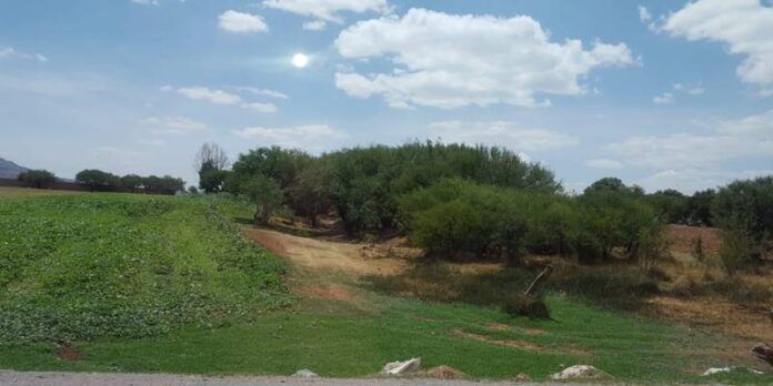 muerto-arroyo-52a