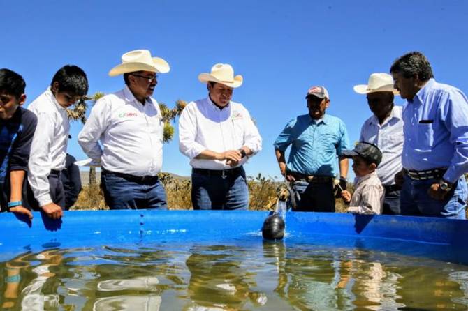 ganaderos 1