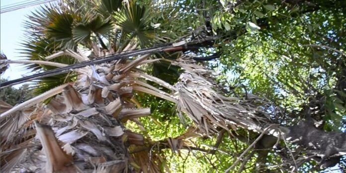 proyecto-ecologia-402