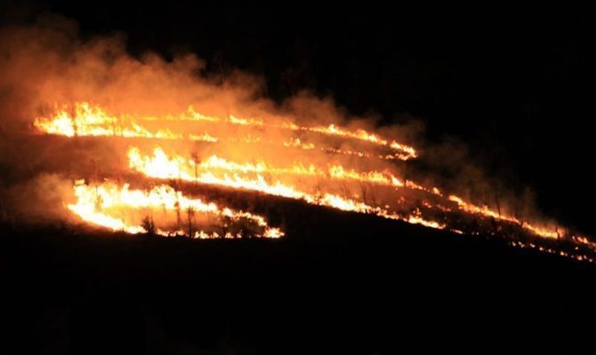 cerro la bufa incendio