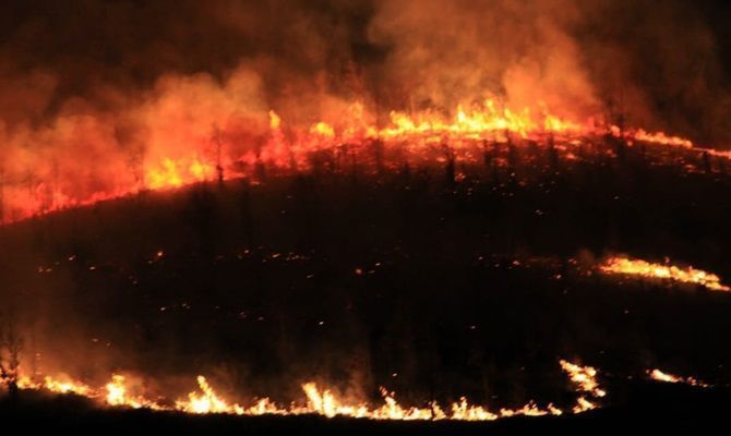 incendio Bufa 2