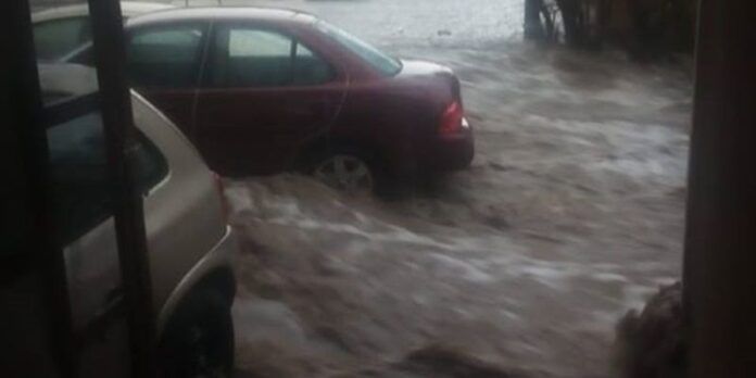 tormenta-concha-del-oro-6da