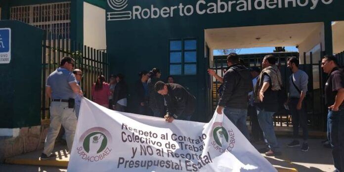 paro-cobaez-c82