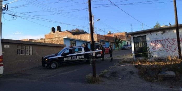 desmembrado-guadalupe-228