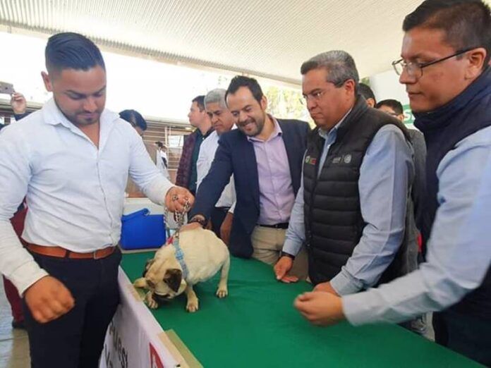 cafc_esterilizacion_zac-68c