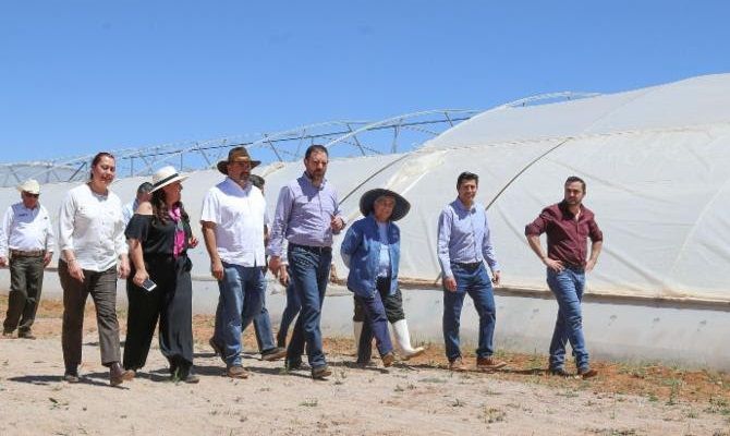 campo tello empleo 3