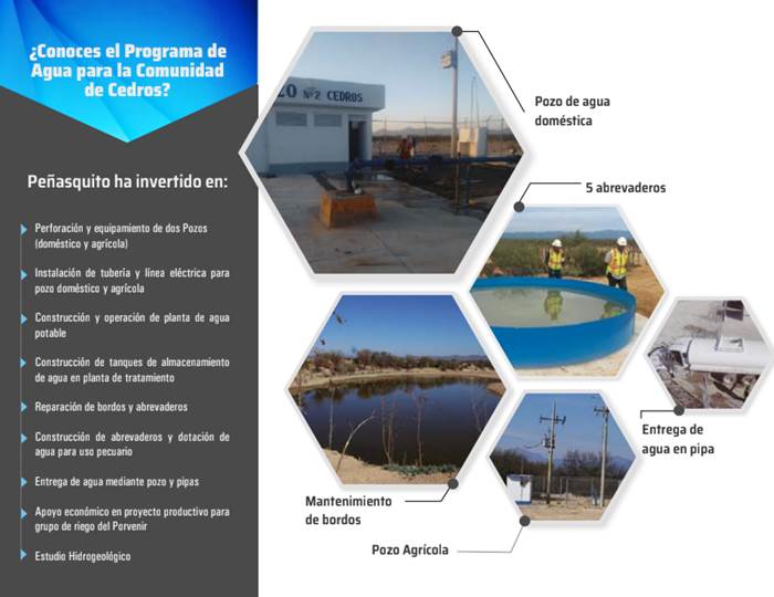 cedros 1