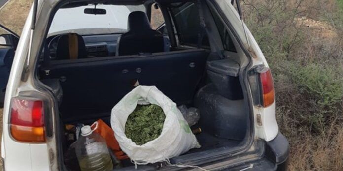 marihuana-fresnillo-pep-3c0