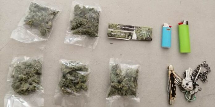 aseguramiento-marihuana-1-515