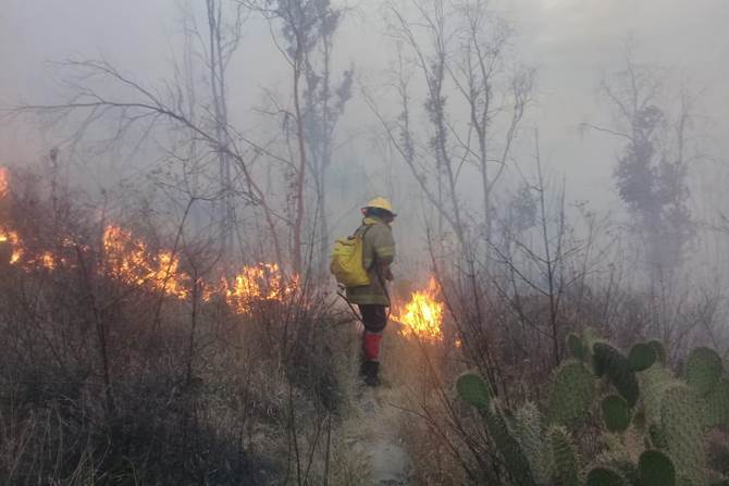 incendio bufa 2