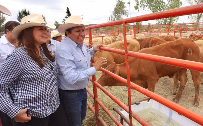 credito ganadero 3