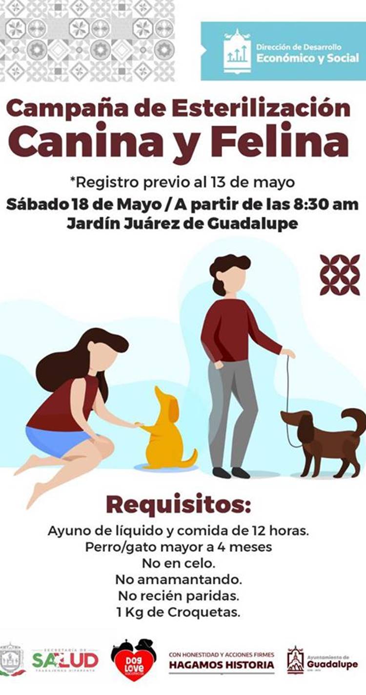 esterilizacion 2