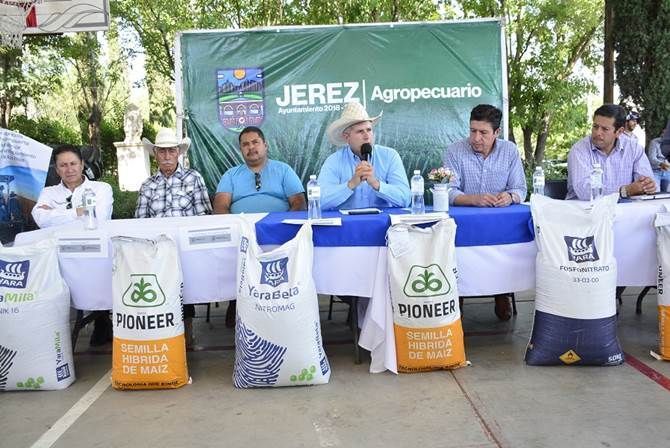 campo jerez 3