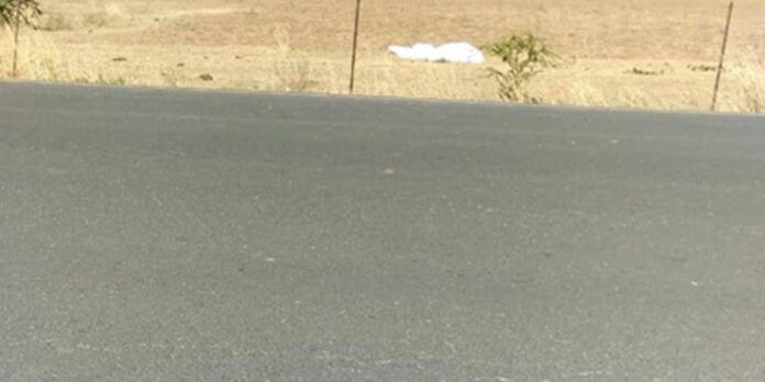 accidente-caballo-f24