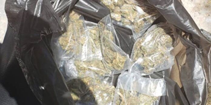 marihuana-moto-7fb