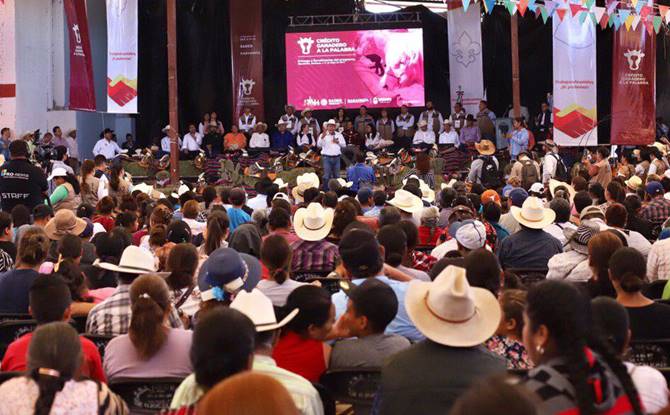 monreal ojocaliente 2