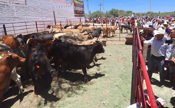 monreal ojocaliente 3