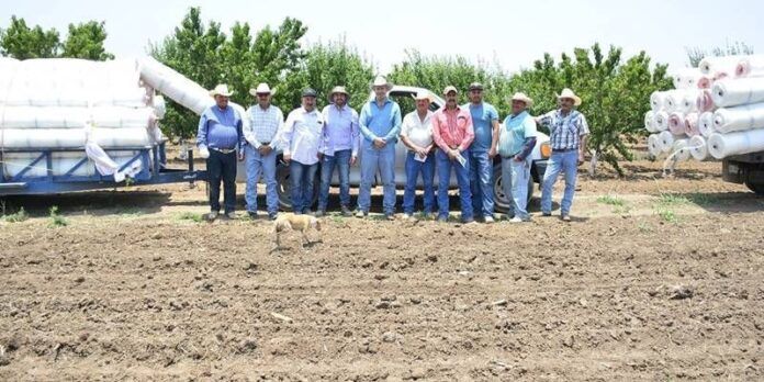aceves-productores_1-d1b