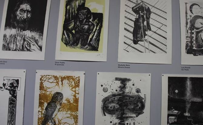 exposicion fenaliz 1