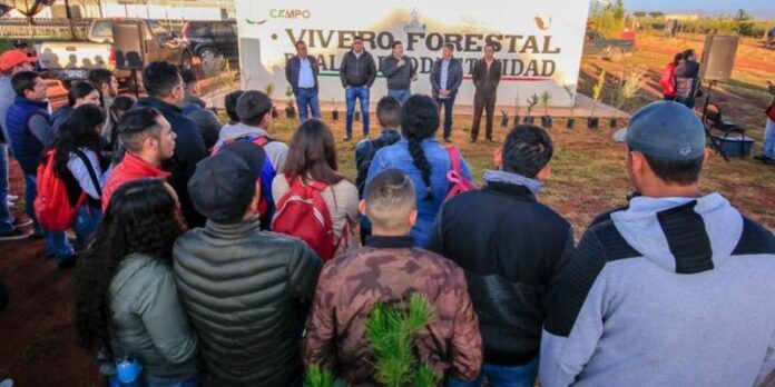 reforestacion_2-1f9