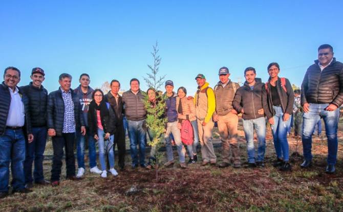 reforestación 3