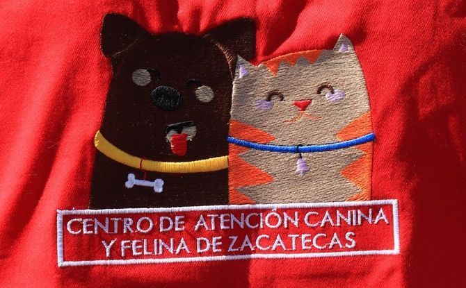 adopciones 2