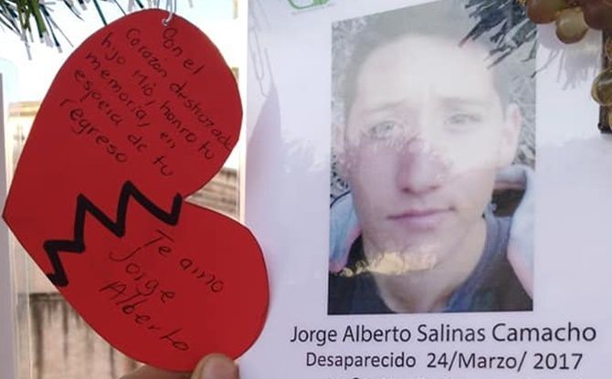 arbol desaparecidos 2