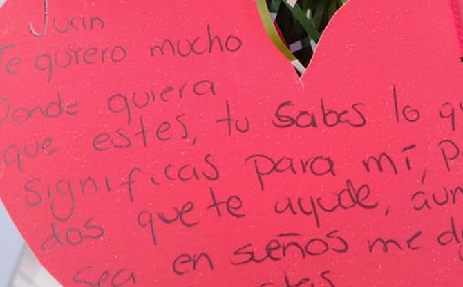 arbol desaparecidos 4