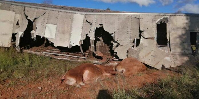 accidente-toros-91c