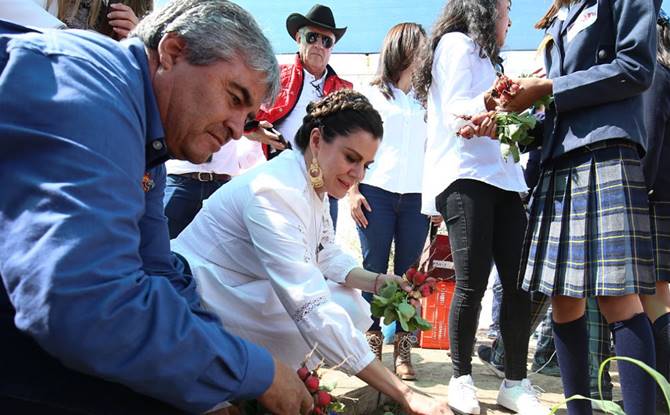 alimentacion escolar 2