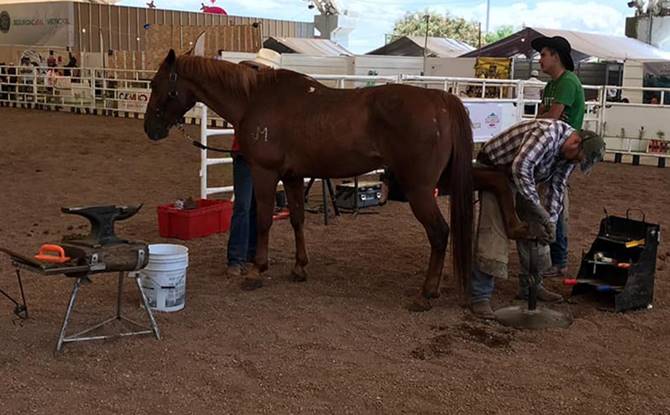 expo equina 1