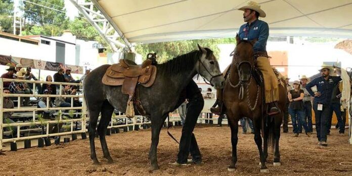 expo-equina-2-819