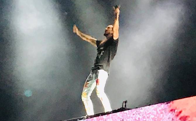 steve aoki fenaza 7