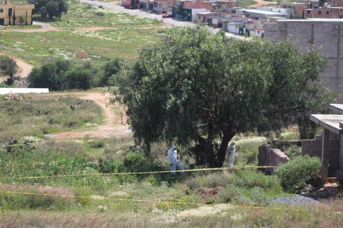 cuerpo nueva espana