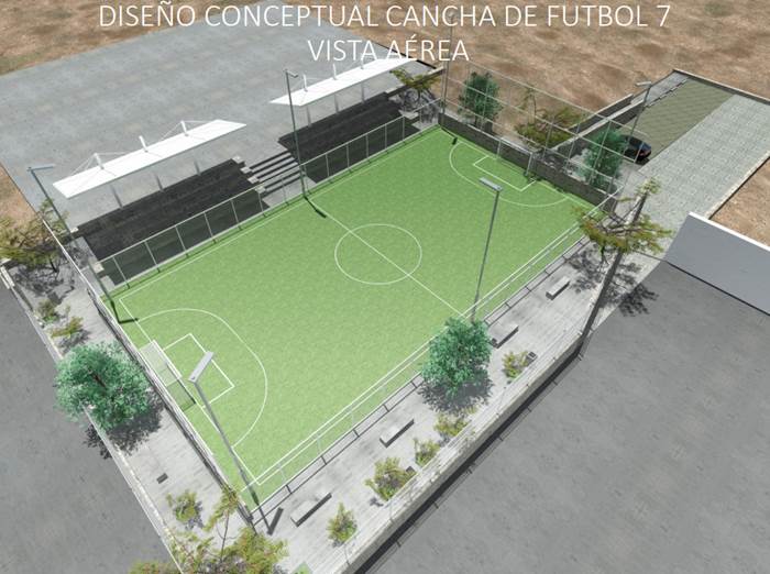 cedros 9