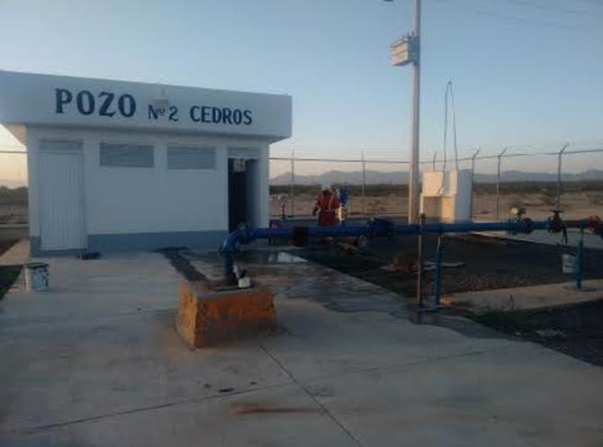 cedros