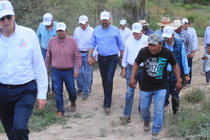 tello cedros 12