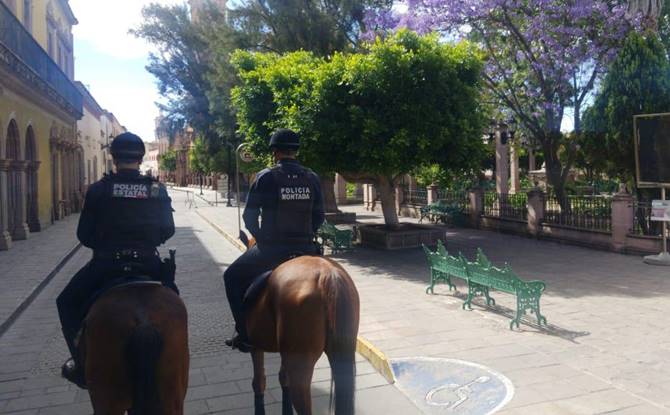 jerez 3