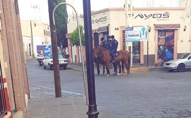 jerez 6