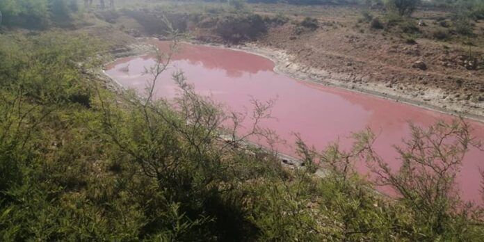 agua-rosa_1-21f
