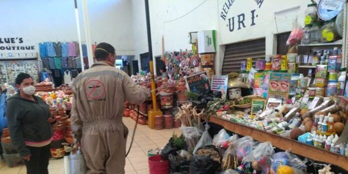 jerez-7-724