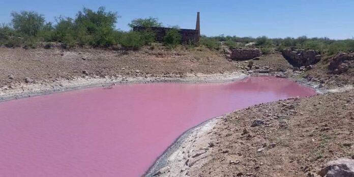 agua-rosa-a44