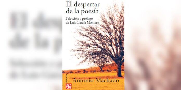 machado-861