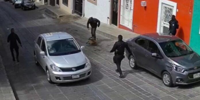 perro_policia-2b5