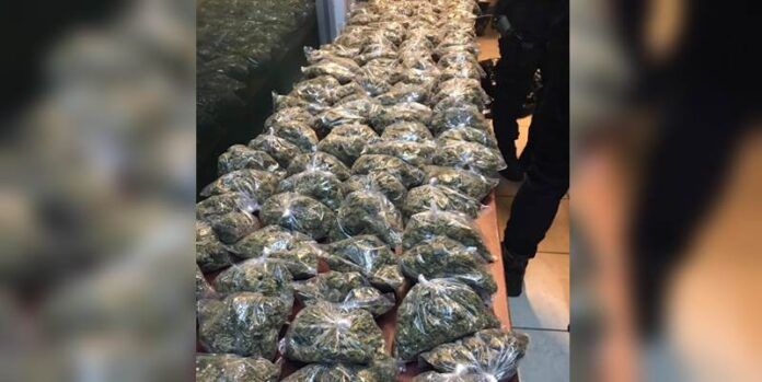 marihuana-365