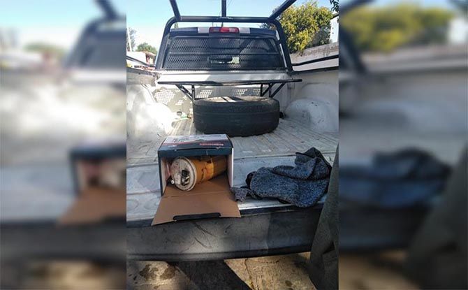 mujer detenida 2
