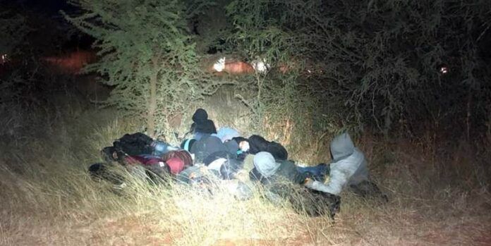 migrantes-2-c29